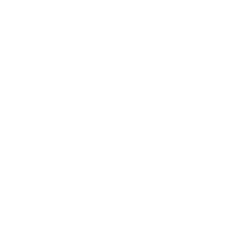 Liberal Party SA